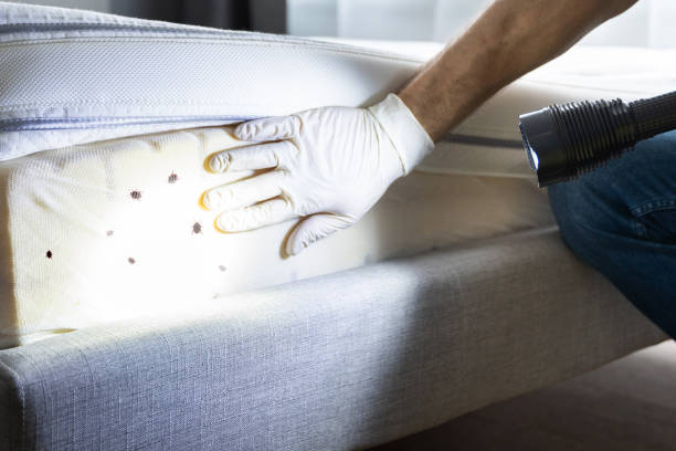 Best Wildlife Control Services  in Richville, OH
