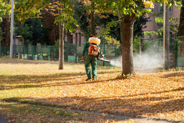 Best Pest Removal Services  in Richville, OH