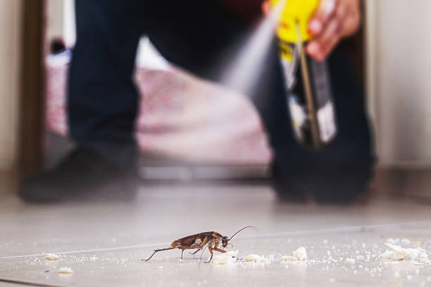 Best Affordable Pest Control Services  in Richville, OH