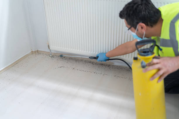 Best Cockroach Control Services  in Richville, OH
